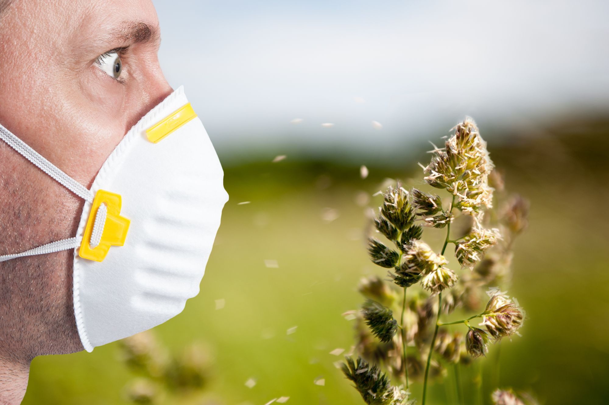Find Out What Actually Triggers Your Allergies with Allergy Testing