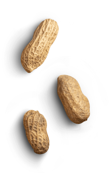 peanuts-left